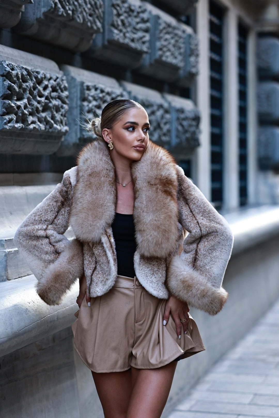 Luxury Fox Fur Trim Jacket